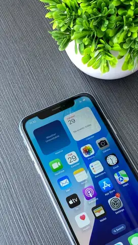 IPHONE XR INTER BLUE MULUS