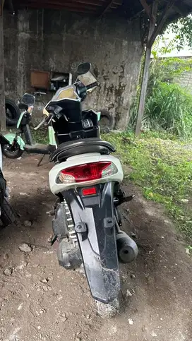 Vario absolute 2015
