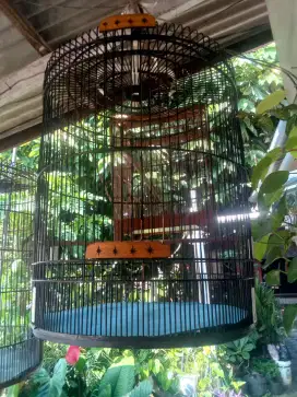 Mangga ada kurung MB masih layak