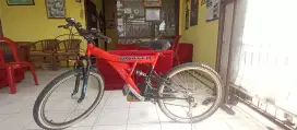 Sepeda gunung United MTB
