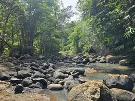 Dijual tanah kebun manggis dan durian los sungai di tabanan bali