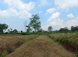 Kavling Murah Malang Lokasi Sumbersekar Dau Harga Terbaik