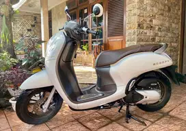 Honda Scoopy Prestige 2024