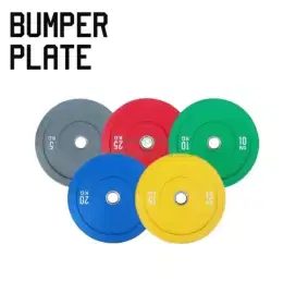 Bumper Plate Ruber 10Kg Fitness Gym Kualitas Import Sepasang