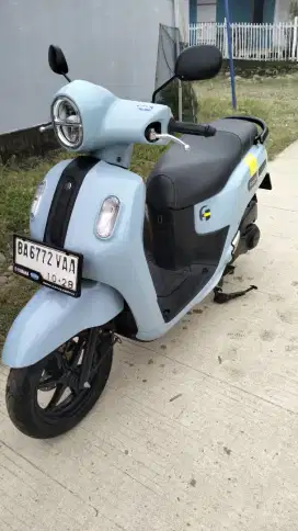 Fazio 2023 mukus ori pabrik