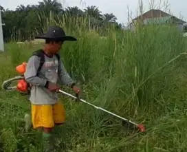 Jasa potong rumput taman halaman kebon rumah, sekolah, kantor, hotel