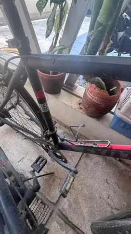 SEPEDA ROADBIKE EXOTIC