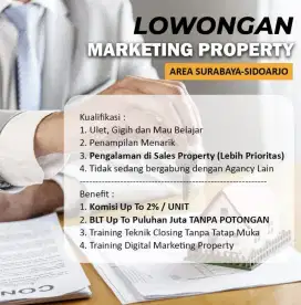 Marketing excekutif property