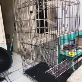 Kandang kucing tingkat lima JUMBO repaint