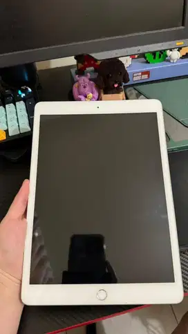 iPad Gen 7 128GB WiFi Only Mulus Fullset Bonus Case + Charger ipad