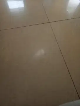 tukang bangunan profesional