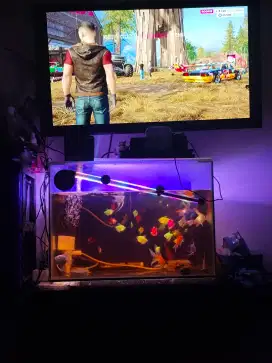 PS 4 ori 1 TB ps stor sd tahun 2026
