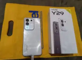 VIVO Y29 8/256 FULSET