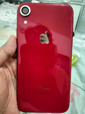 IPhone XR 64Gb LL/A
