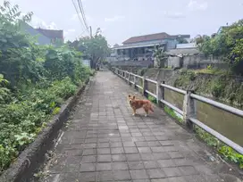 Tanah termurah denpasar