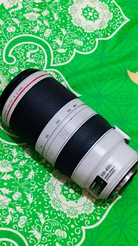 Canon 100 400mm mark ii