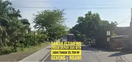 JUAL Tanah Pekarangan LD 205 mtr, NOL Jl Raya Propinsi NGAWI, Baguss