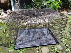 kandang kucing bekas
