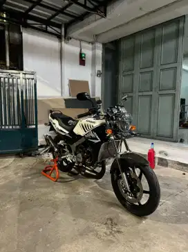 NINJA R UP SS asli albino