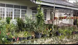 FOR SELL Sumber Berkah Farm