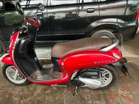Honda scoopy 2021