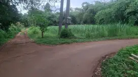 Akses dekat dengan Tol Burangkeng Kavling area Setu. bisa Cicil 12X