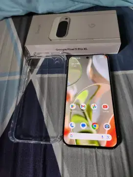 Google pixel 9 pro xl 16/256gb sinyal permanen bisa TT