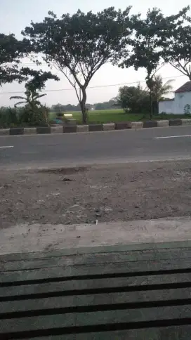 Jual Tanah Pinggir Jalan