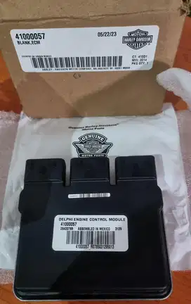 ECM Harley Rushmore