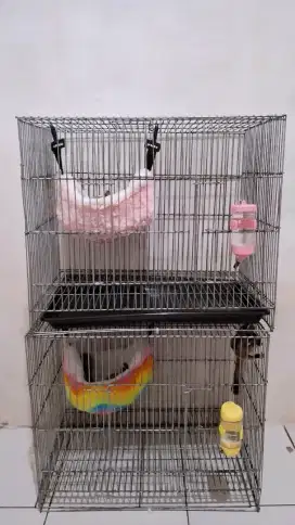 Open Adopt Sugar Glider + Kandang Lengkap