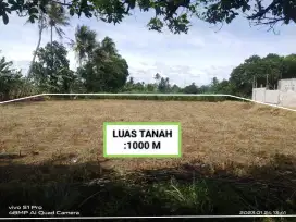 Di Jual tanah kebun Rata dan per segi Murah