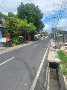 Tanah anyelir hayam wuruk denpasar