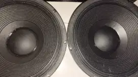 Speaker Ashley 15 inch lf15v400
