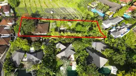 Langka! Tanah View Sawah di Kuwum, Umalas Dekat Canggu dan Seminyak