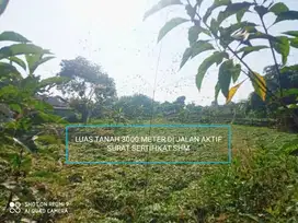 Tanah murah Tanah kebun Strategis Di desa Tegal kemang Bogor