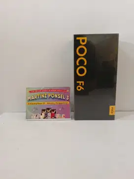 POCP F6 5G 12/512
