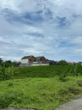 TANAH KAVLING VILLA VIEW SAWAH SUNSET SUNRISE DEKAT CANGGU