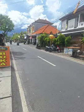 Tanah anyelir denpasar
