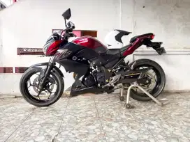 Kawasaki Z250 SE