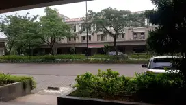 Tipe studio Apartemen Podomoro Golf View