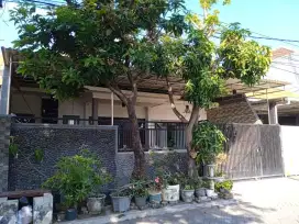 Dijual Rumah Siap Huni di Kutisari Indah Utara