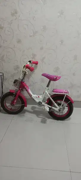 Jual cepat Sepeda Wimcycle