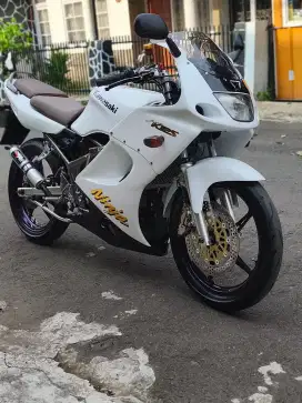 Ninja rr old 2012 albino asli