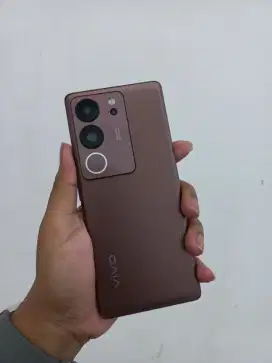 Vivo V29 8/256 mulus + dus