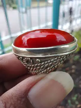 Pandan merah menor