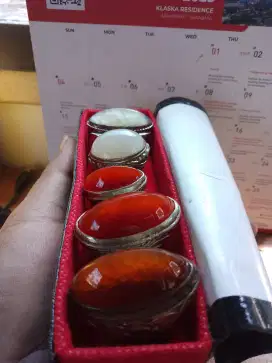 Pandan merah murah