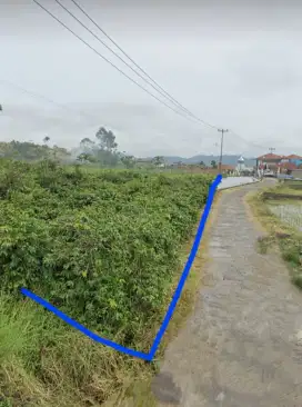 Tanah Kebun Kopi