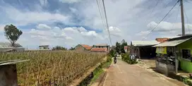 jual cepat BU tanah cocok villa atau rumah di parongpong bandung utara