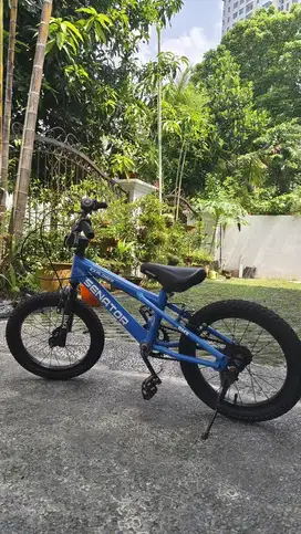 Sepeda anak mulus