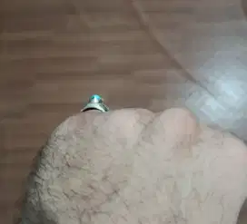 Cincin Pirus Asli Iran